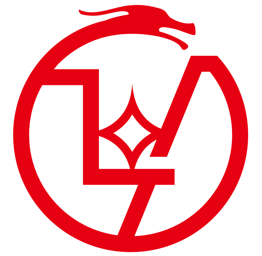 LONG IENG 龍贏天下有限公司 logo